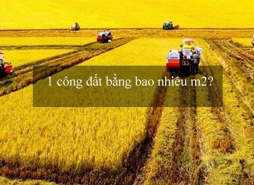1 cong dat