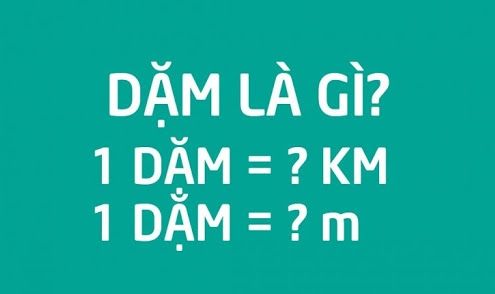 1 dam