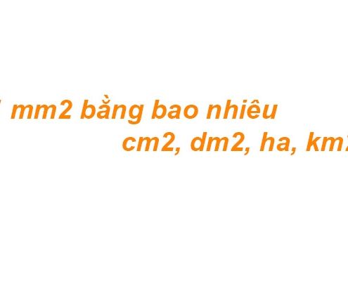 1 mm2