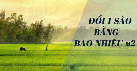 1 sào bằng bao nhiêu m2