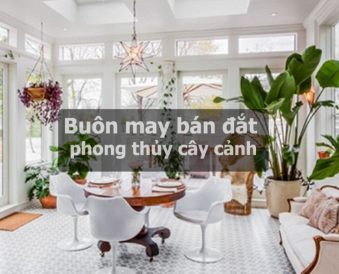 buon may ban dac phong thuy