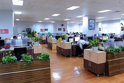 hoa giai phong thuy xau van phong