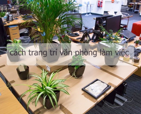 cach trang tri van phong lam viẹc