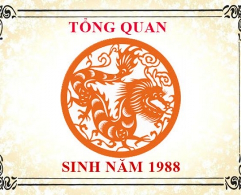 phong thuy tuoi mau thin sinh nam 1988