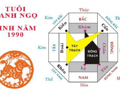 tuoi canh ngo hop huong nao