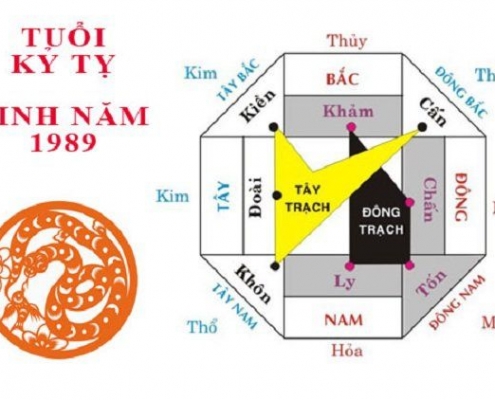 tuoi ky ty hop huong nao