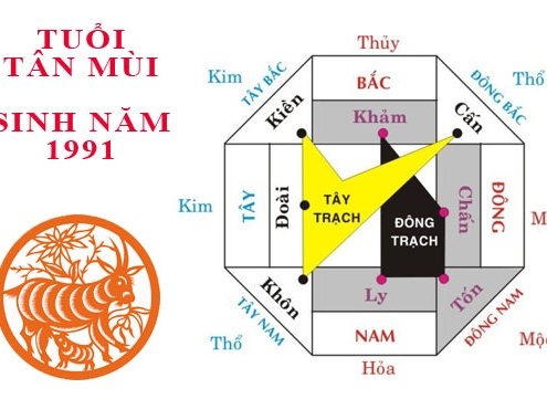 tuoi tan mui hop huong nao